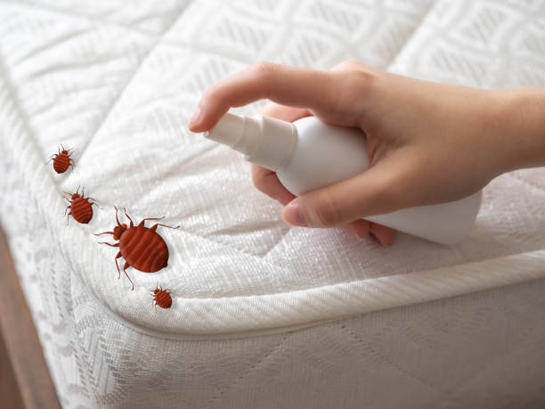 Best Pest Control for Multi-Family Homes  in USA